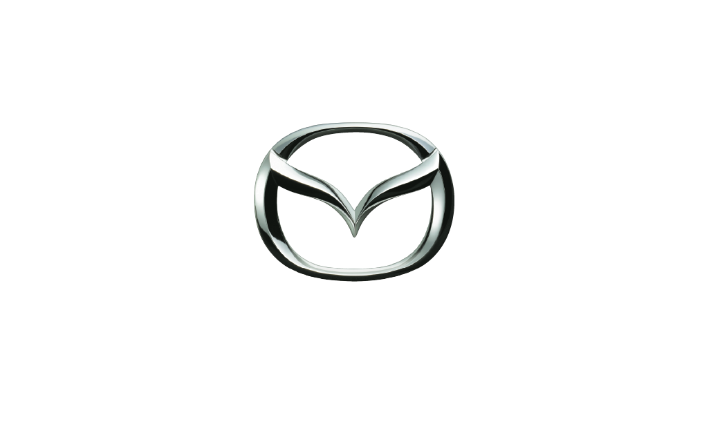 Dongjian racking cooperation logo